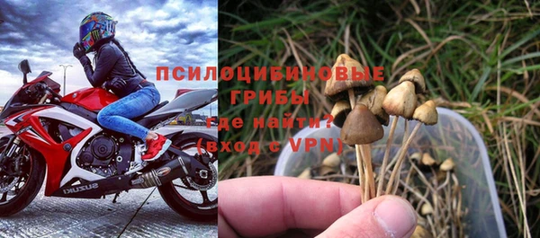 не бодяженный Гусев