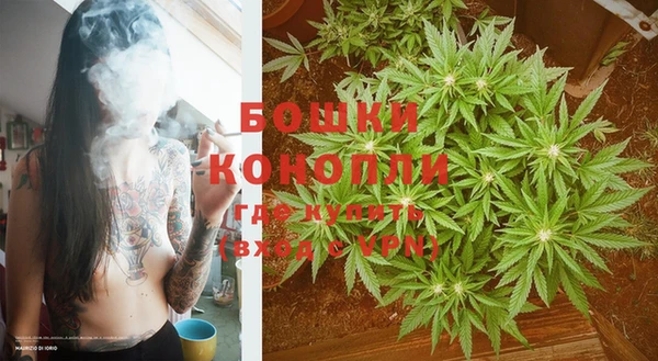 не бодяженный Гусев