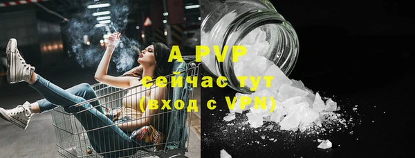 не бодяженный Гусев