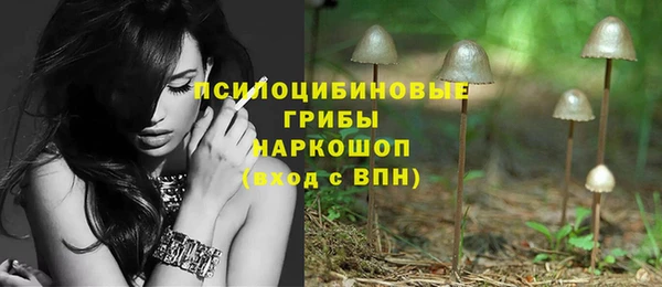 не бодяженный Гусев